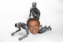 terminator-sex-positions-ce-250x166